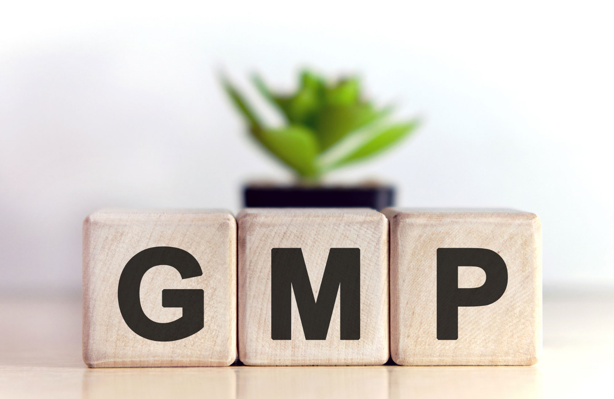 Aktiv360 | Kalite, Uyum ve Süreç Danışmanlığı | GMP, Regülasyon, Validasyon ve Denetim Odaklı Kurumsal Çözümler