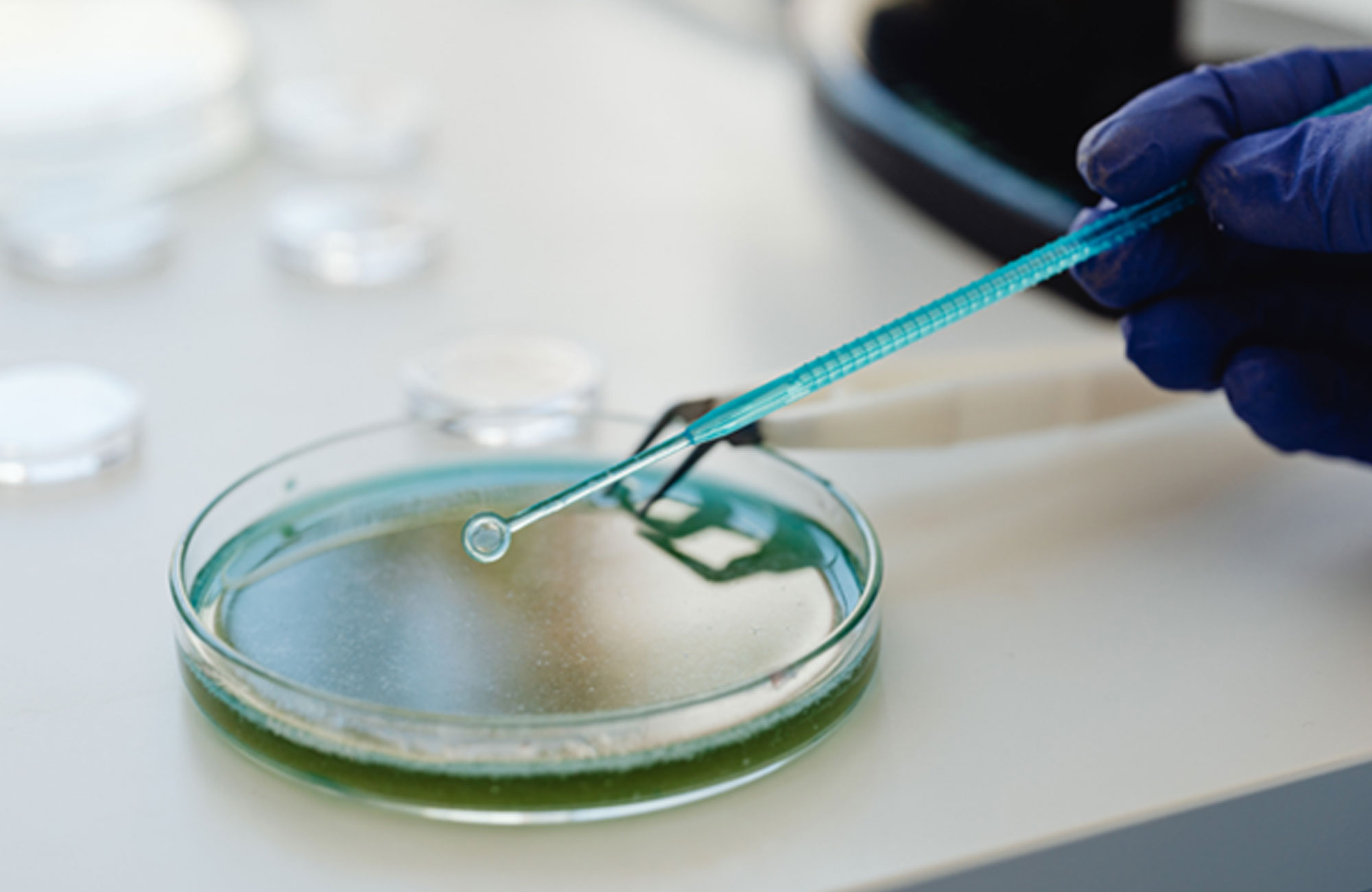 Aktiv360 | Kalite, Uyum ve Süreç Danışmanlığı | GMP, Regülasyon, Validasyon ve Denetim Odaklı Kurumsal Çözümler