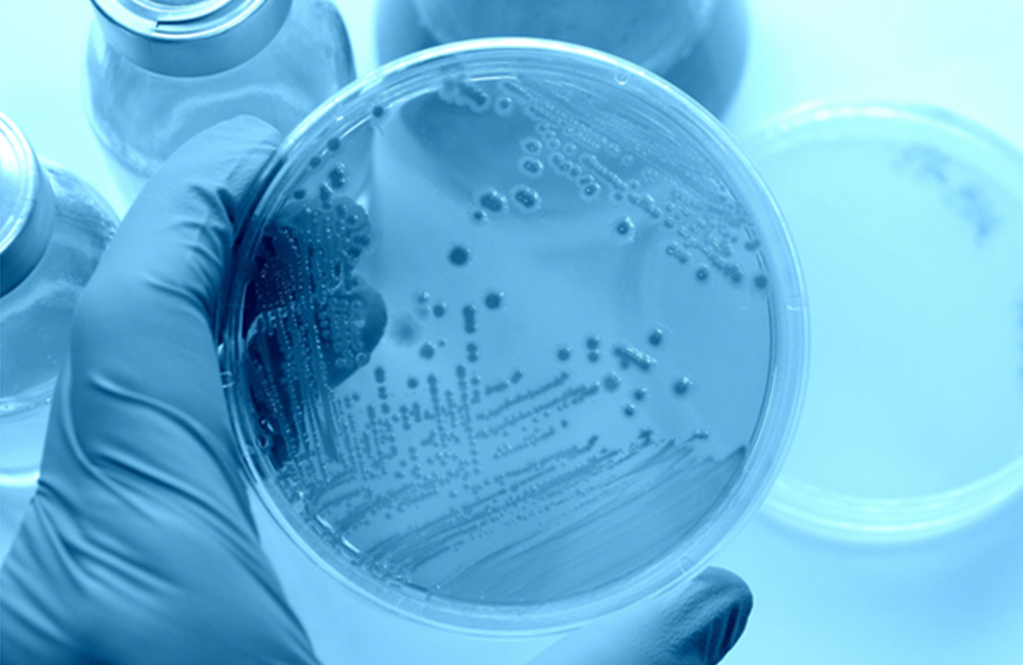 Aktiv360 | Kalite, Uyum ve Süreç Danışmanlığı | GMP, Regülasyon, Validasyon ve Denetim Odaklı Kurumsal Çözümler